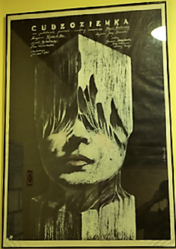 Czarno-biała grafika przedstawiająca sześcian  wpisaną w jego środkową część twarzą kobiety. Część górna sześcianu zasłania jej oczy i przechodzi w motyw drzewa, uszkodzonego przez korniki. W górnej części plakatu informacje o filmie (tytuł, twórcy)